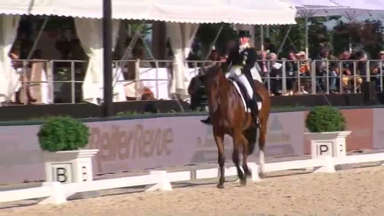 Emilio - Dressage Horse