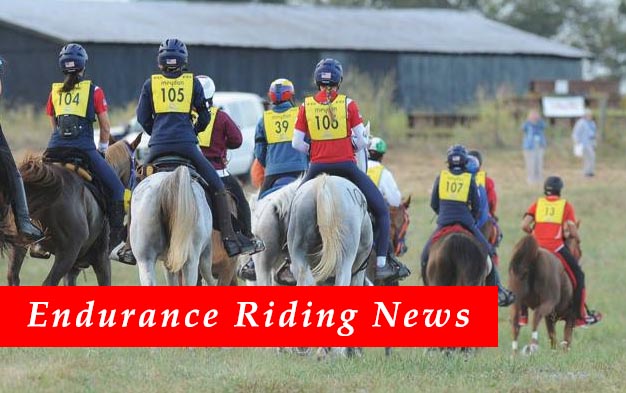 Endurance Riding