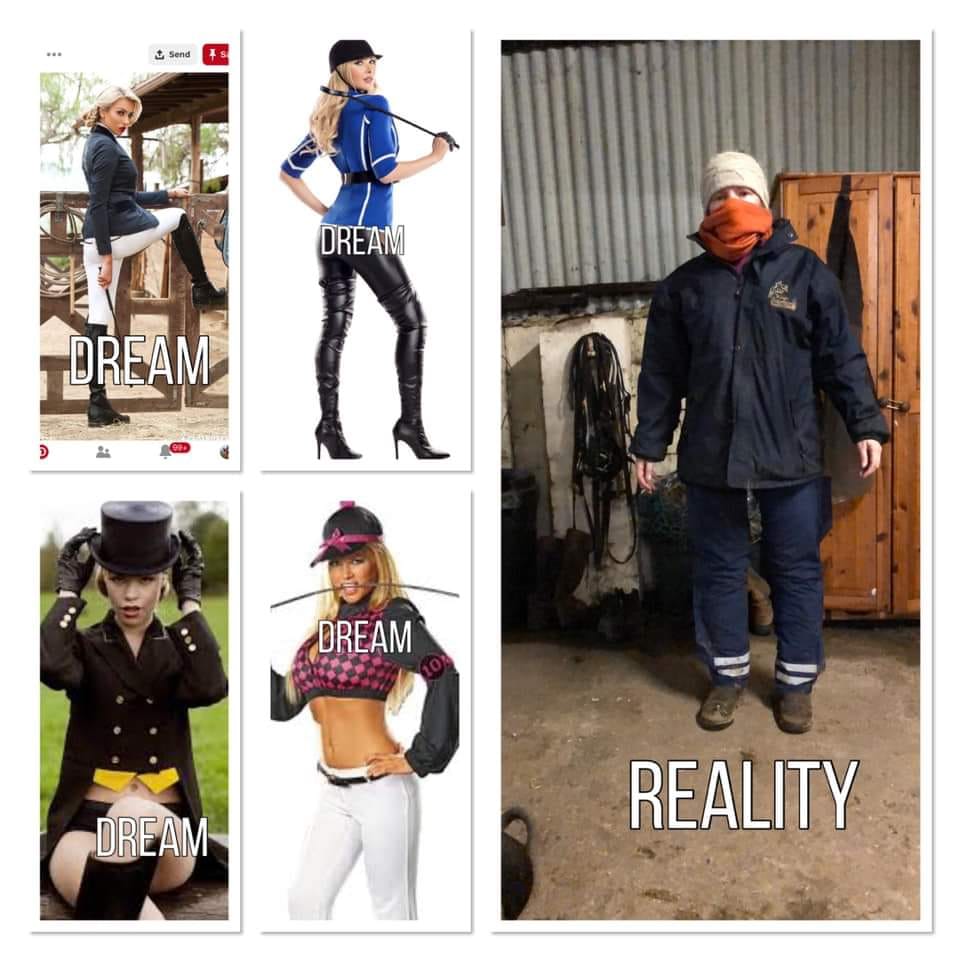 Equestrian Fashion