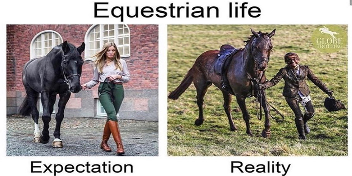 Equestrian Life