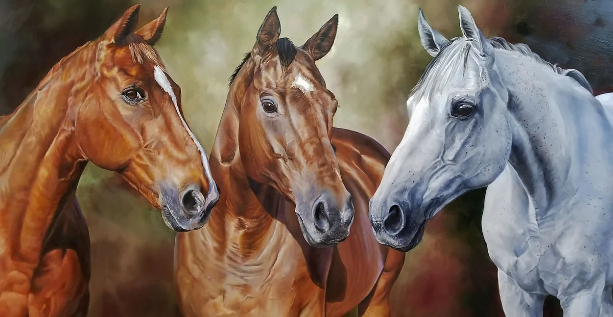 Equine Art by Julie, Sweetwater, Texas, United States