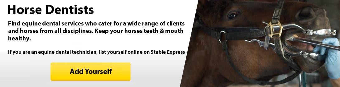 Equine Dentists
