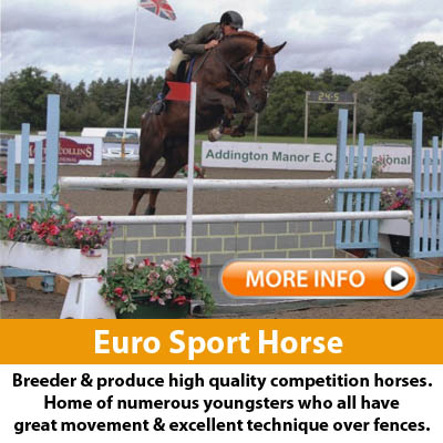 Euro Sport Horse