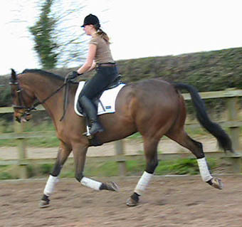 Dressage Rider Samatha Morrison