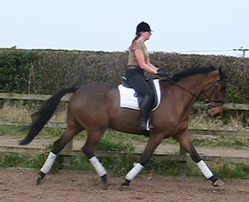 Samantha Morrison - Dressage Rider