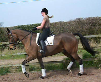 Samantha Morrison - Dressage Rider