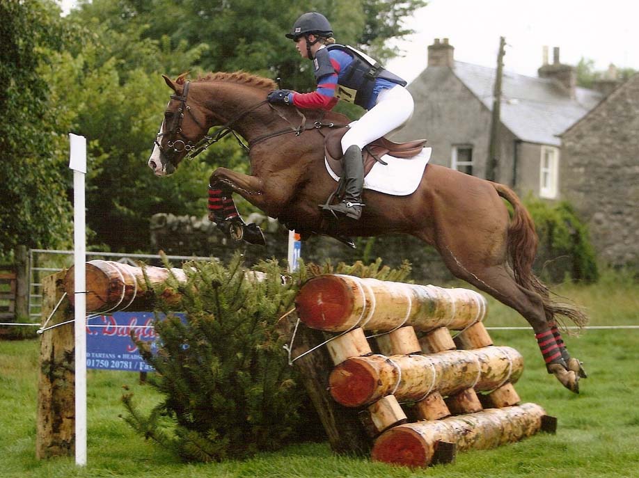 Dressage Shows
