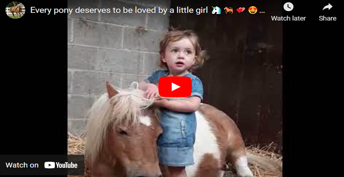 Every pony deserves to be loved by a little girl