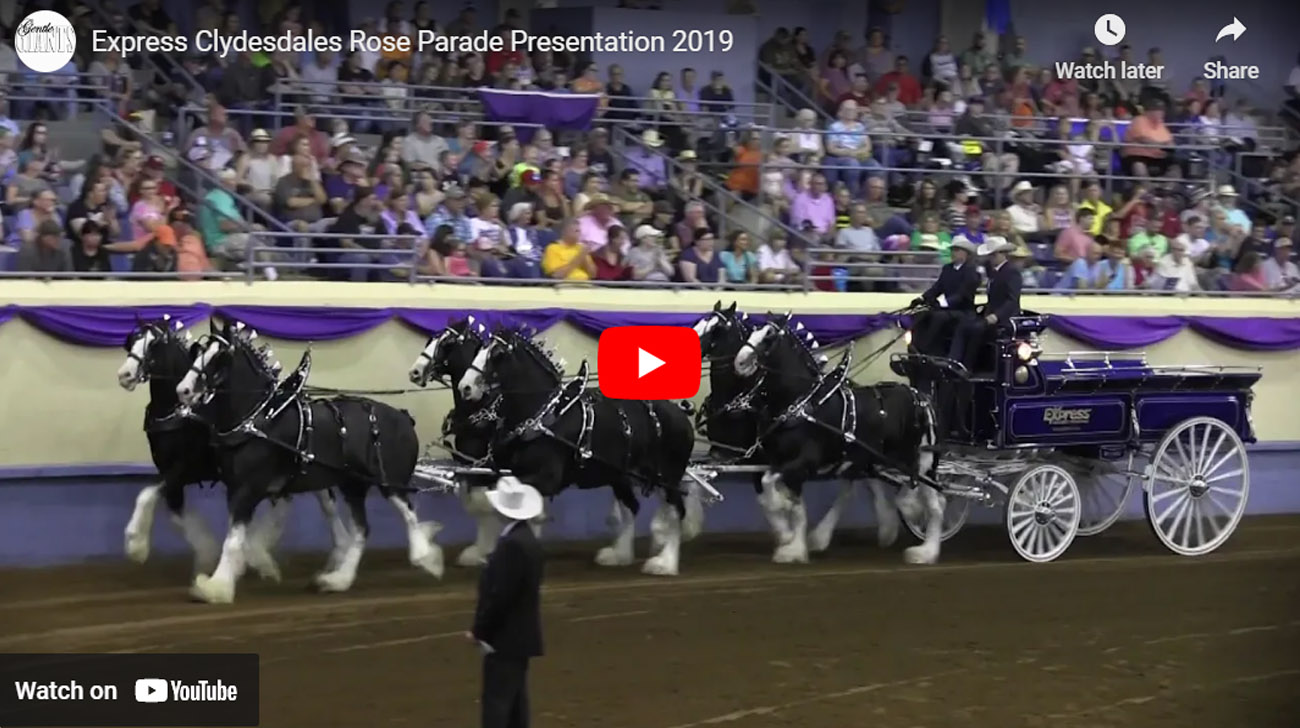 Express Clydesdales Rose Parade Presentation