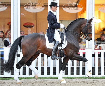 Dressage