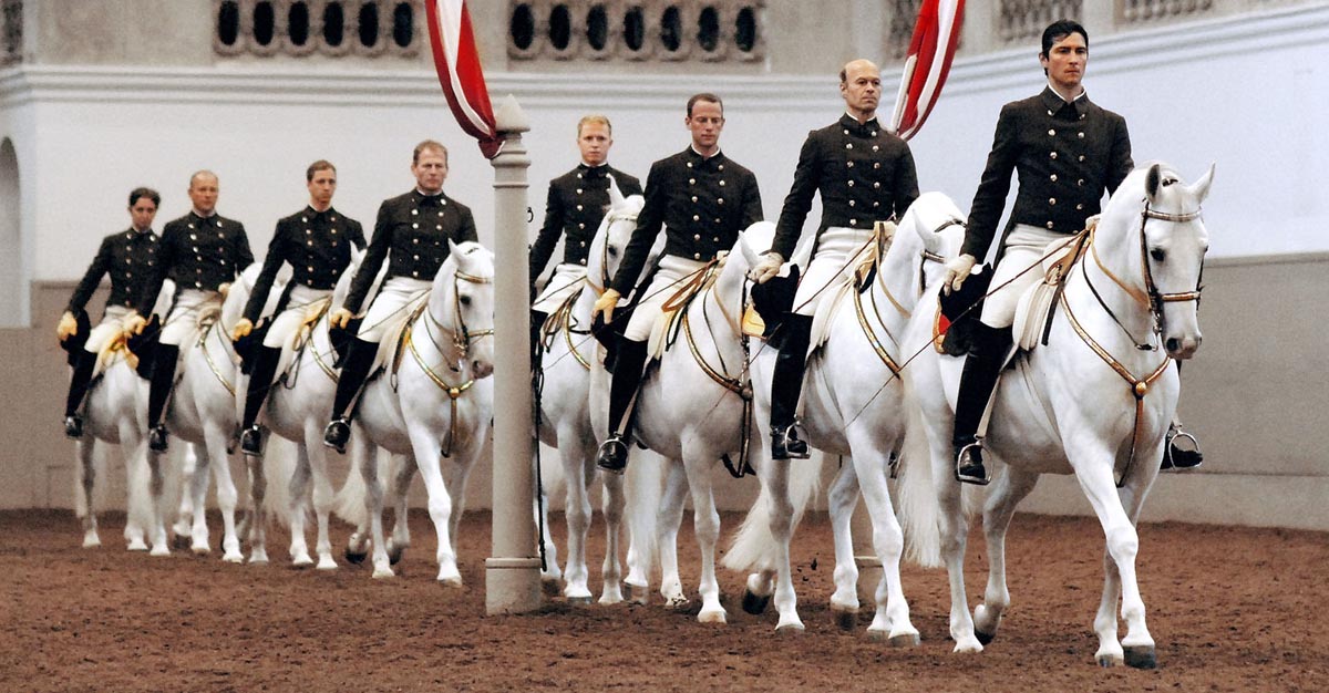 Vienna`s Famed Lipizzaner Stallions