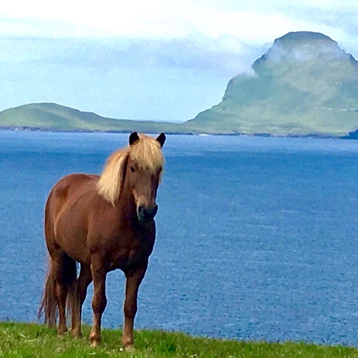 Faroese