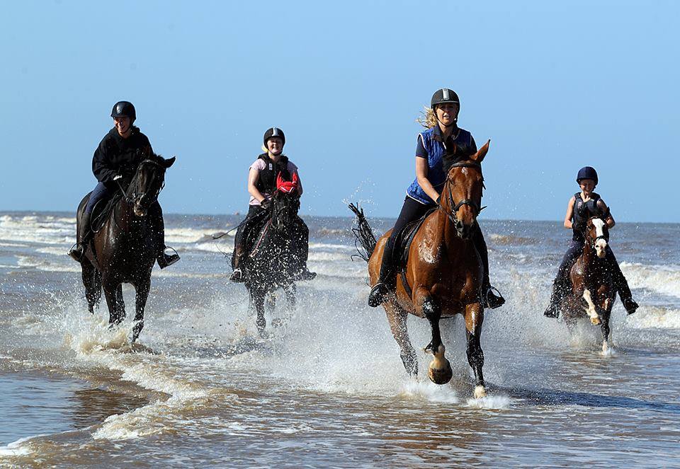 Field Farm - Horse Riding Holiday