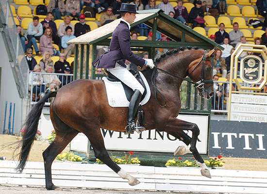 Florencio - Dressage