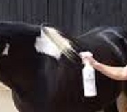 Fly Spray For Horses