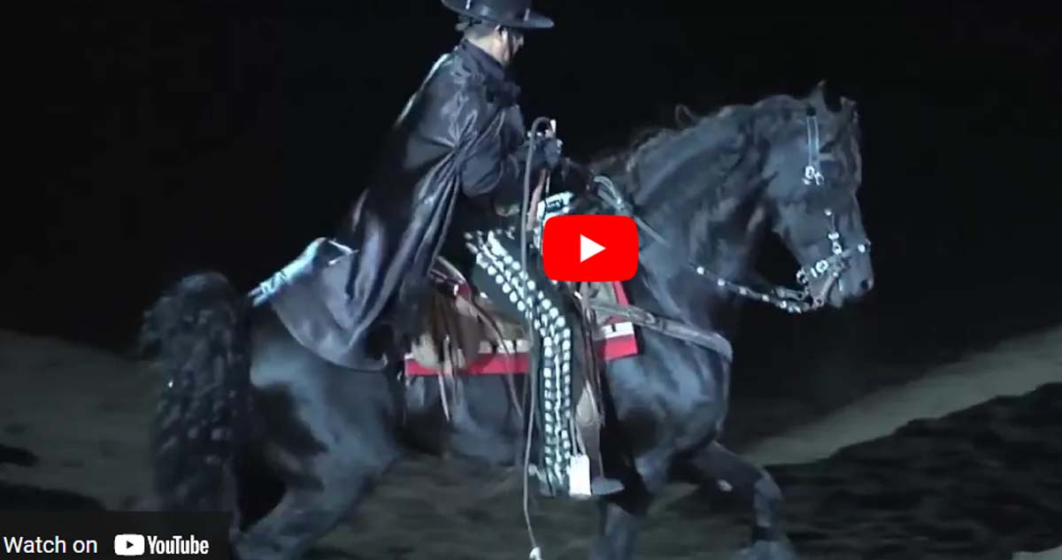 Jerry Diaz and his Friesian Stallion Rosario El Zorro