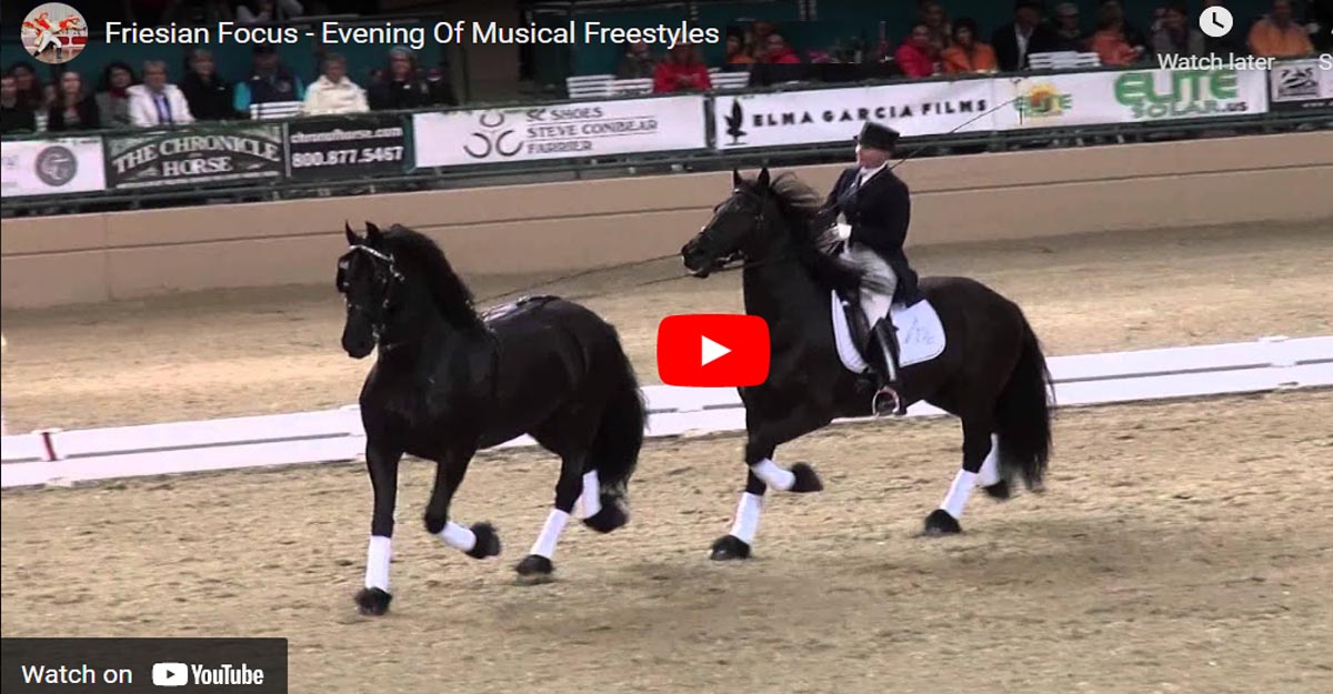 Friesian Focus - Evening Of Musical Freestyles