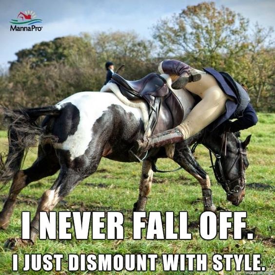 Funny Horse Quotes