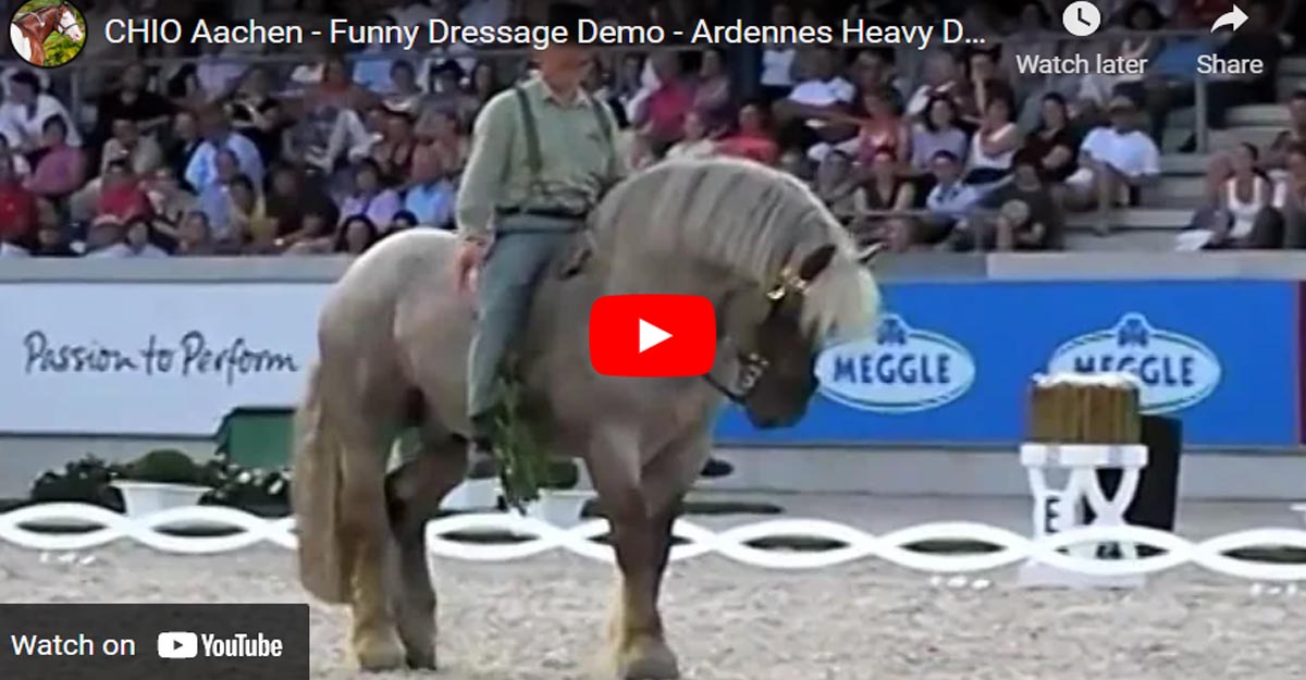 CHIO Aachen - Funny Dressage Demo - Ardennes Heavy Draft Horse