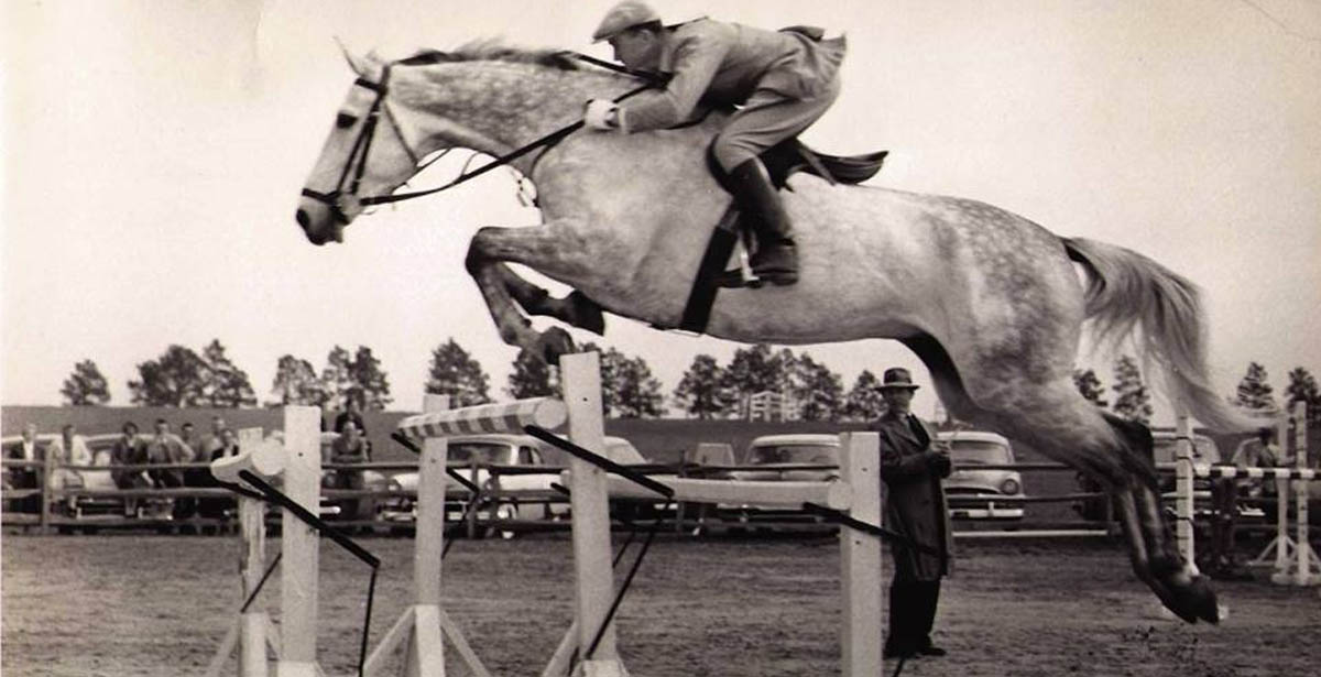 Gabor Nicholas Folteny - Hungarian Showjumper