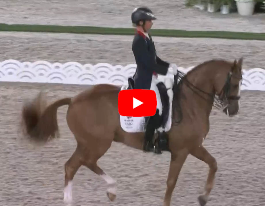 Dressage Movements