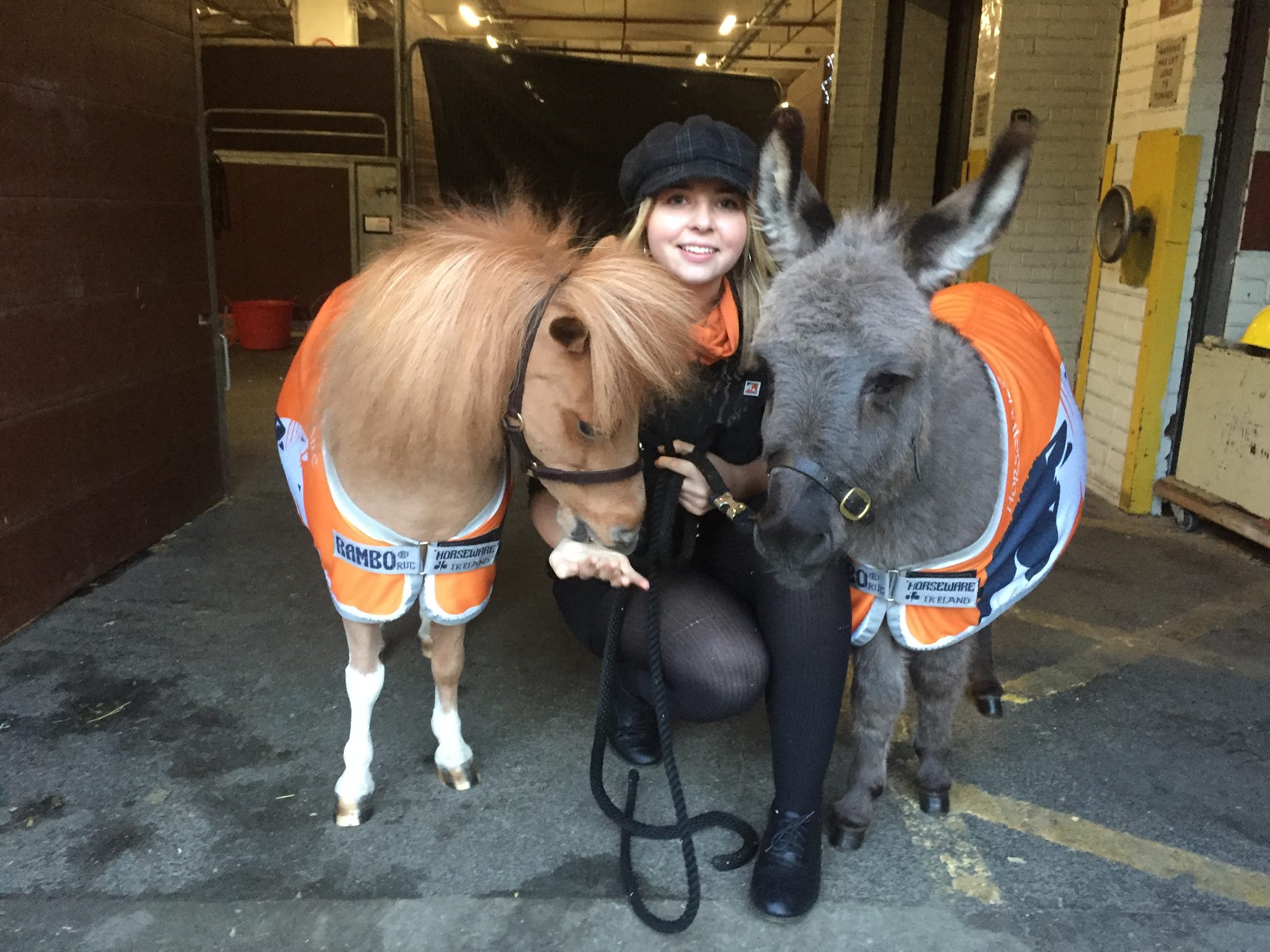 A Girl And Her Horse