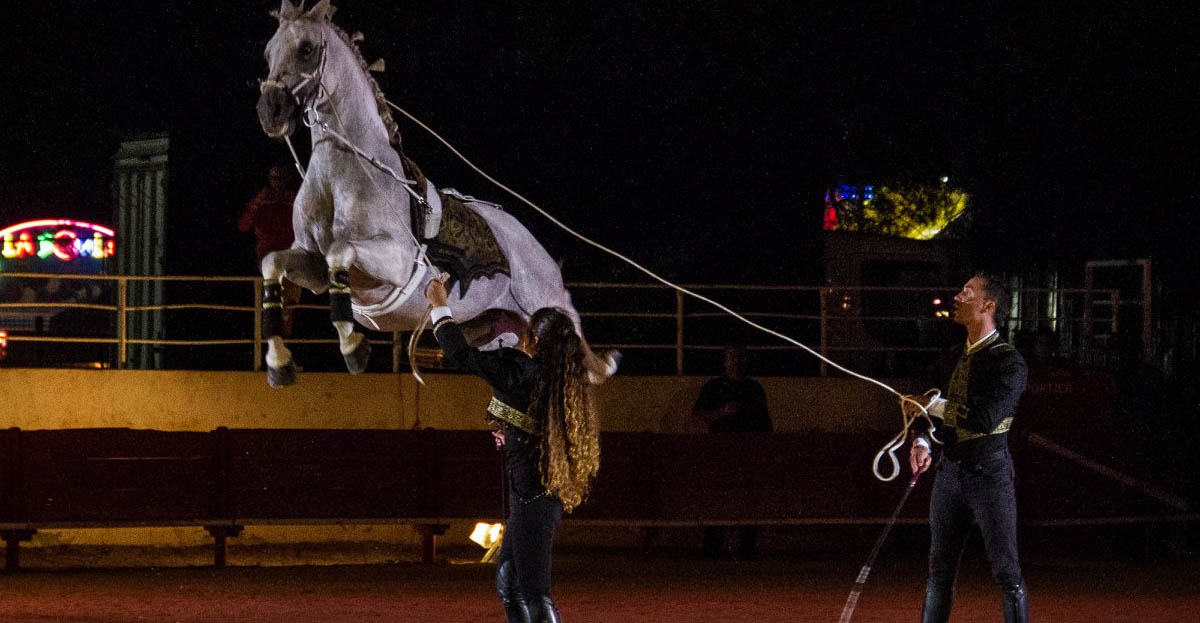 Selyne and Jeremy Gonzalez - Gonzalez Horse Show - Freedom