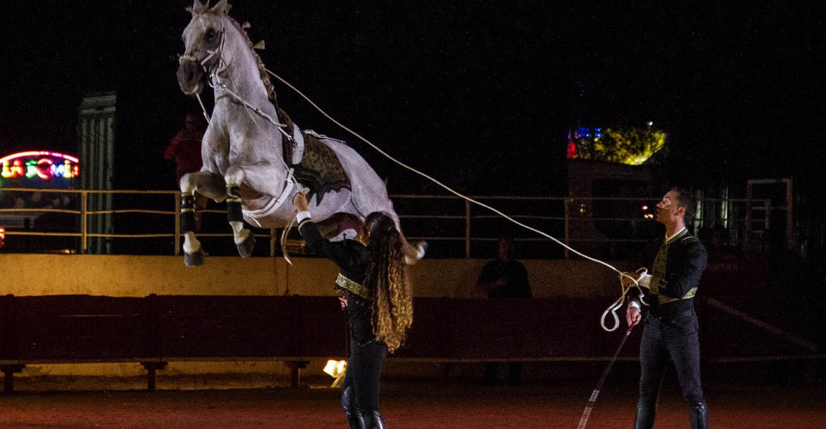 Slyne & Jrmy Gonzalez - Gonzalez Horse Show - Freedom