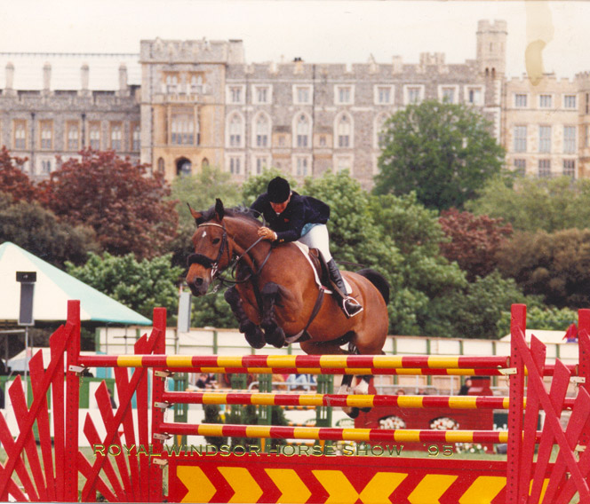 Gordons Twist International Showjumper