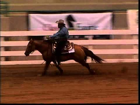 Who are the best Reining Stallions of all time?