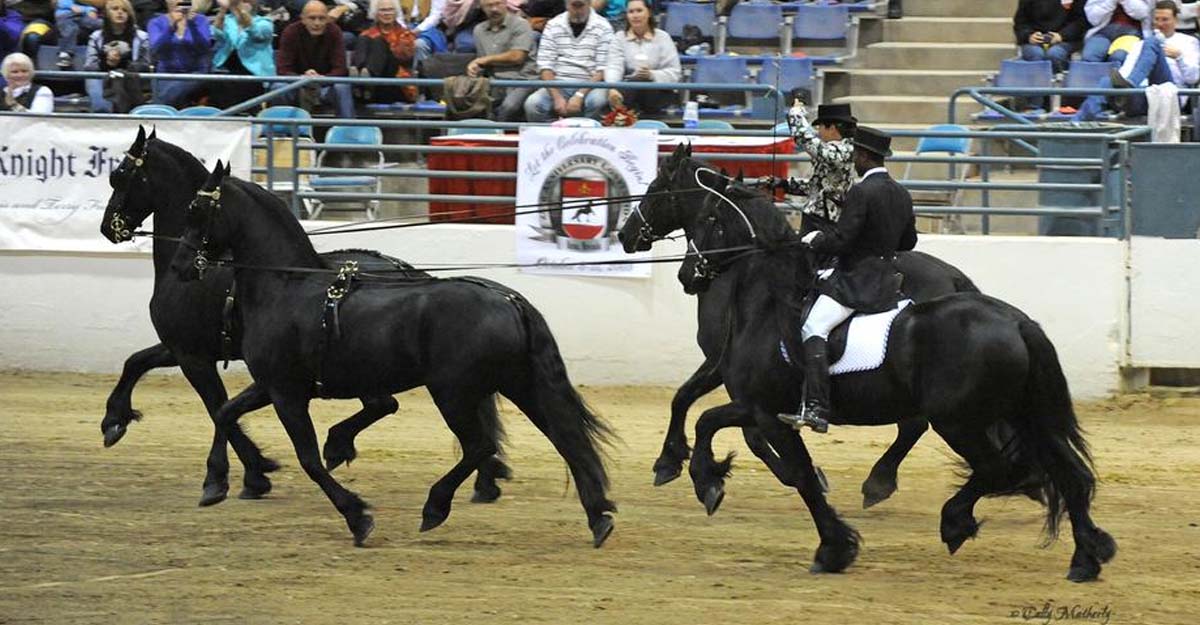 Home of Bruce, Staci and Janae Griffin @Griffin Sport Horses, Virginia, USA