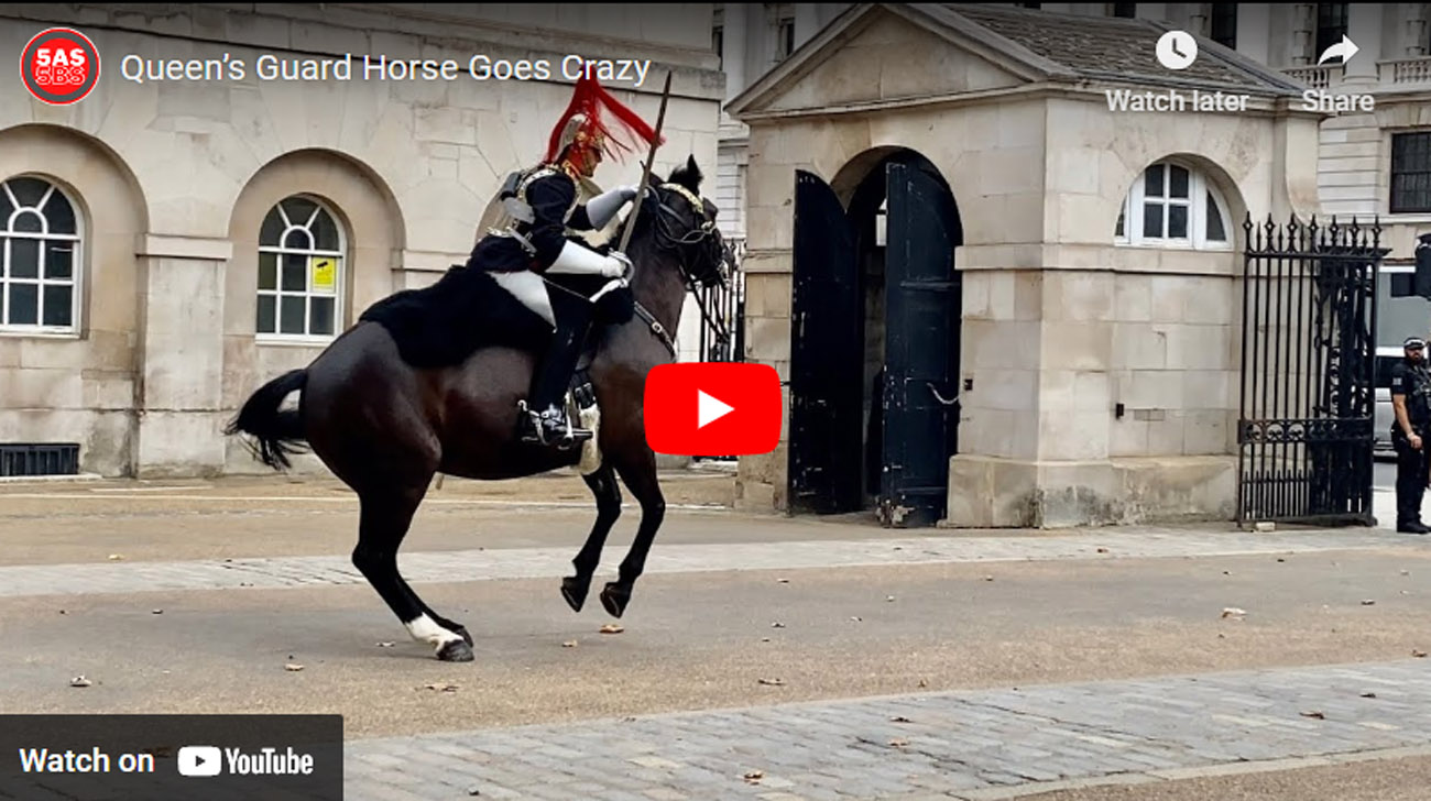 Royal Household Cavalry Guards Horse Goes Crazy