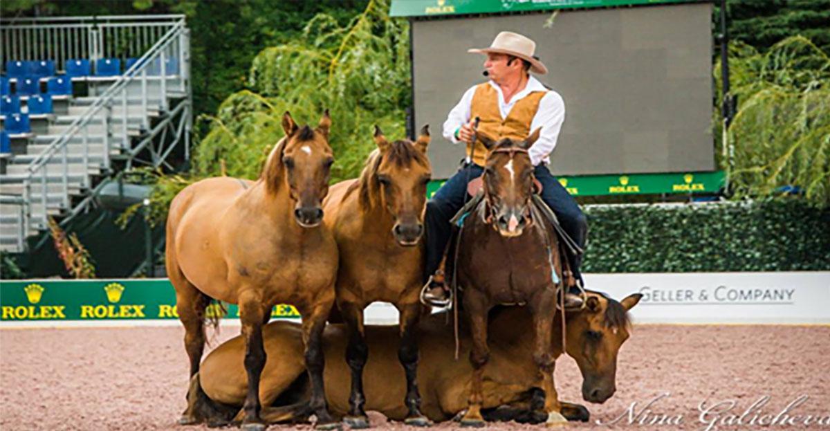 Guy McLean - The Australian Horse Whisperer