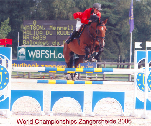 Euro Sport Horse