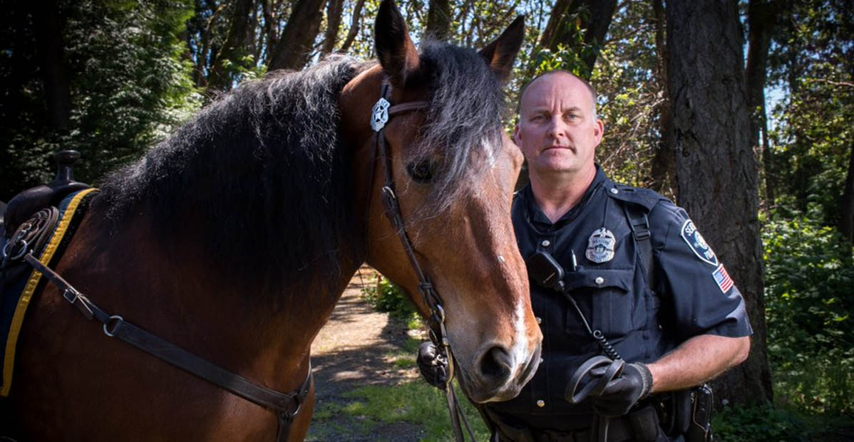 Harvest the Seattle police horse walks his beat once last time