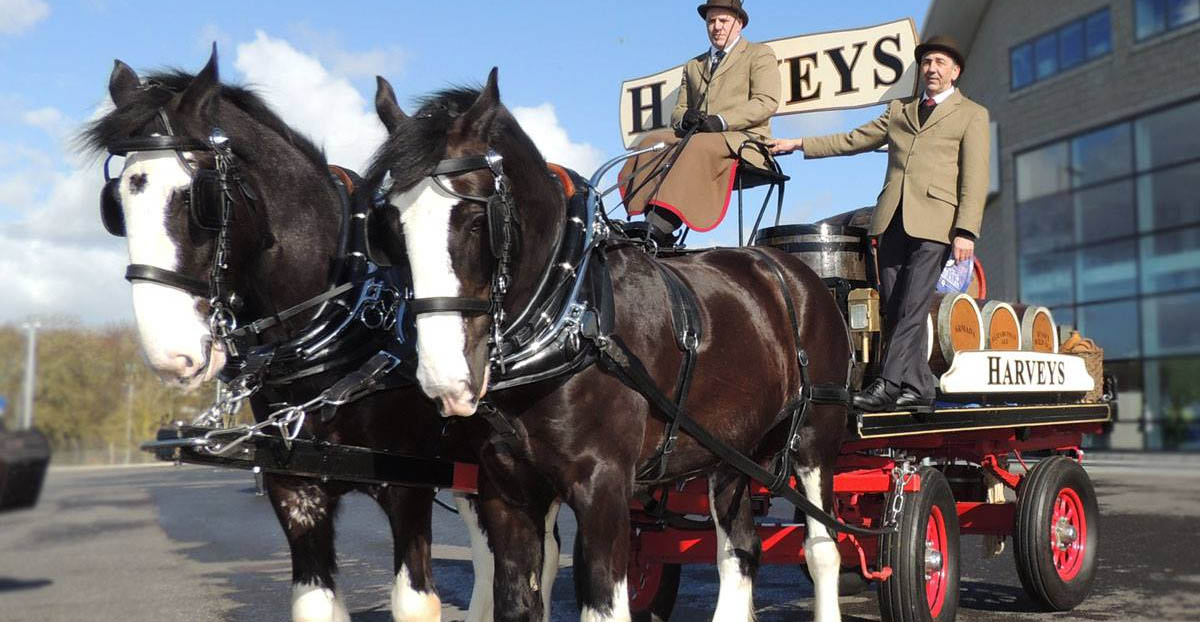 Harveys Brewery Horses and Dray - Brighton and Hove