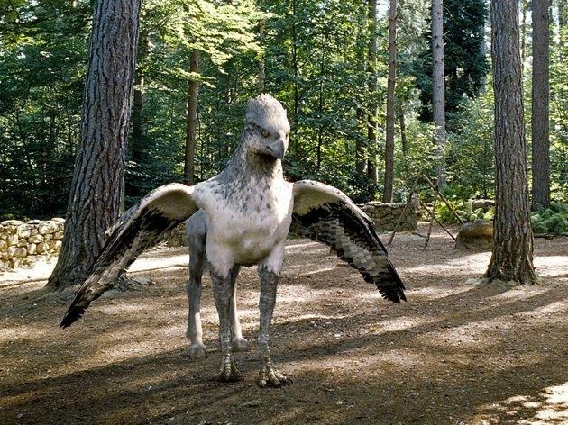 Hippogriff