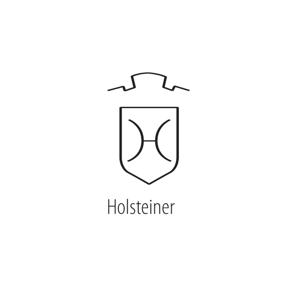 Holsteiner