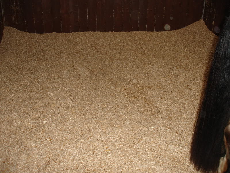 Horse Bedding