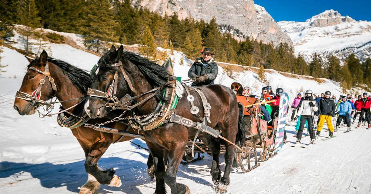 Horse Drawn Ski-Lift - Dolomites Mountains