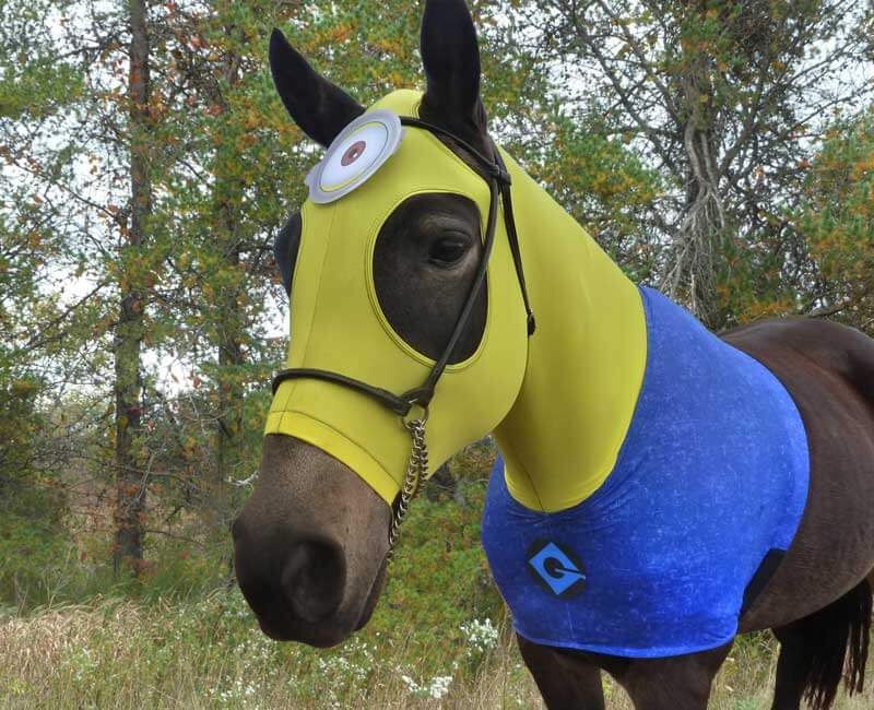 Horse-Dressed-As-Minion