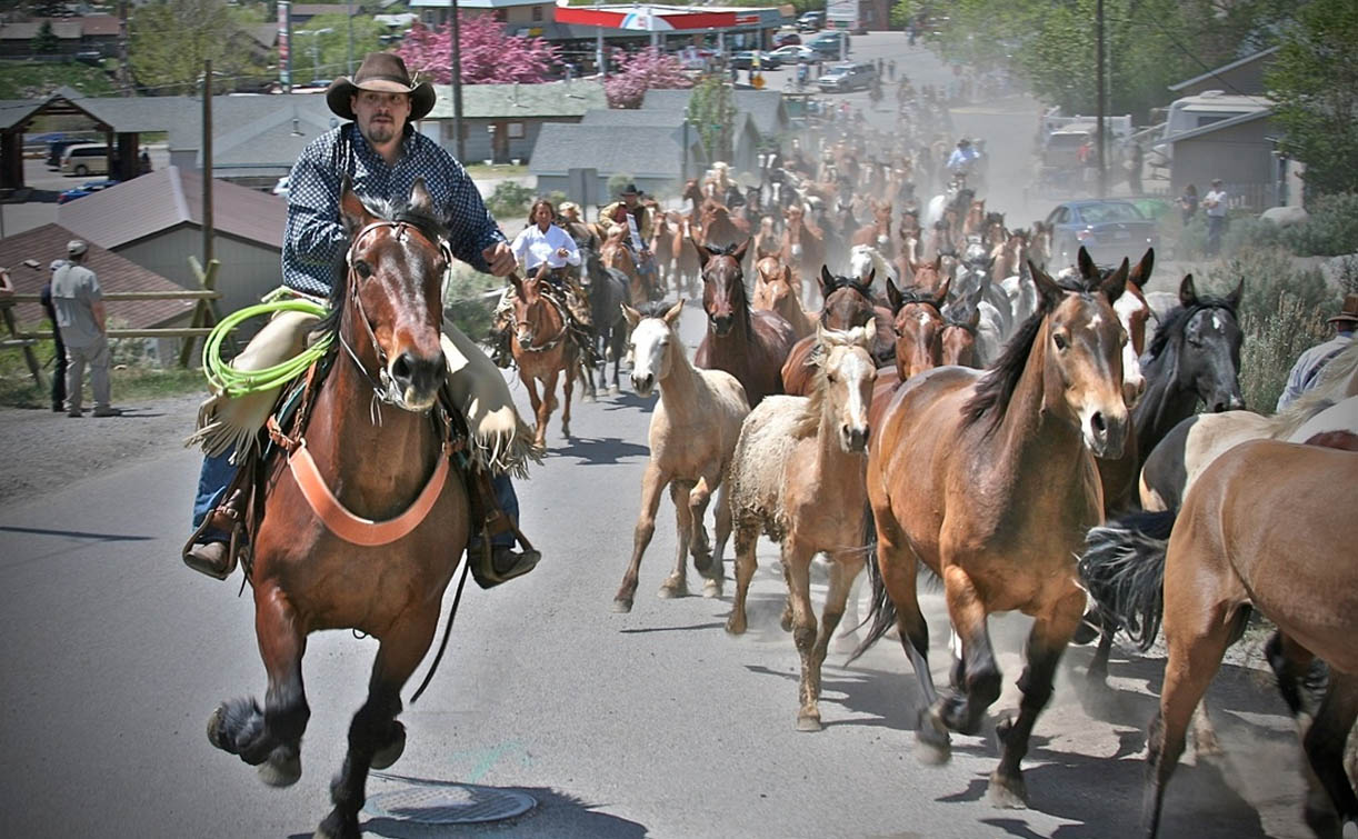 Hell`s-a-Roarin` Horse Drive Fundraiser Gardiner, Montana