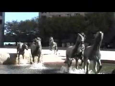 Horse Fountains