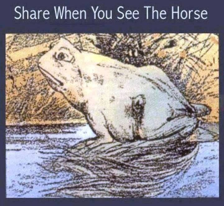 Horse Frog Optical Illusion