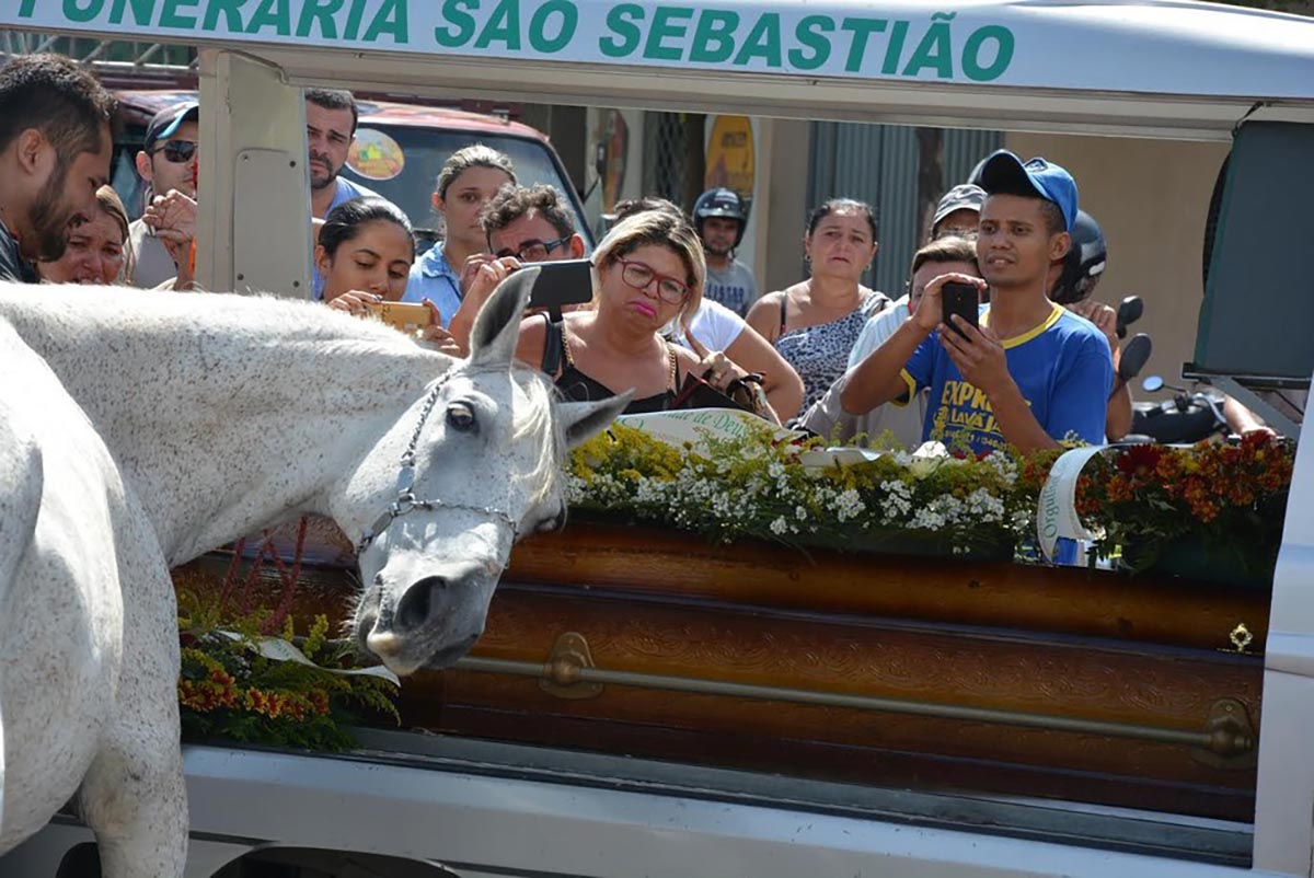 Horse Gives Loving Farewell To His Human Best Friend