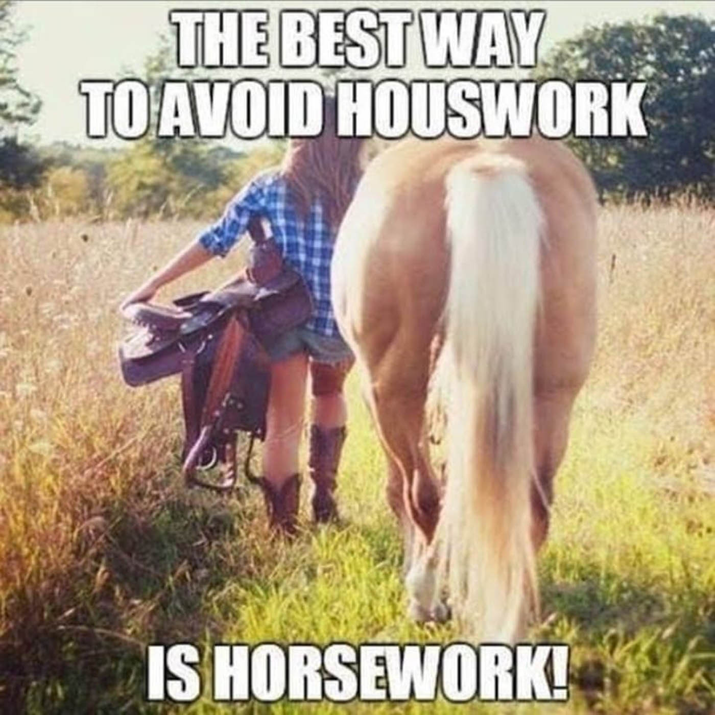 Horse Housework