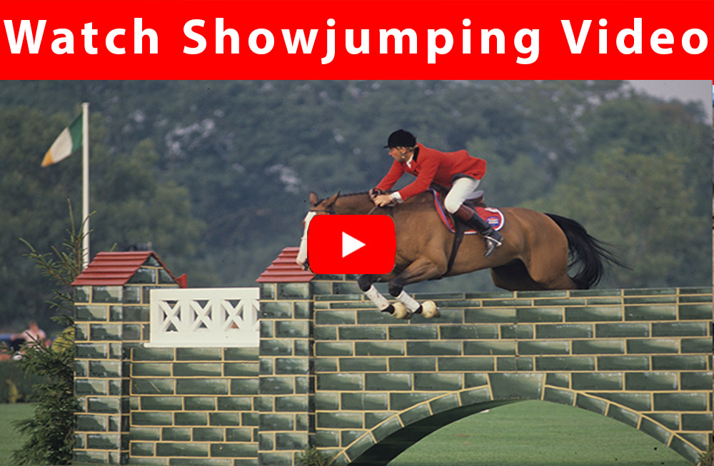 Horse Jumping Videos