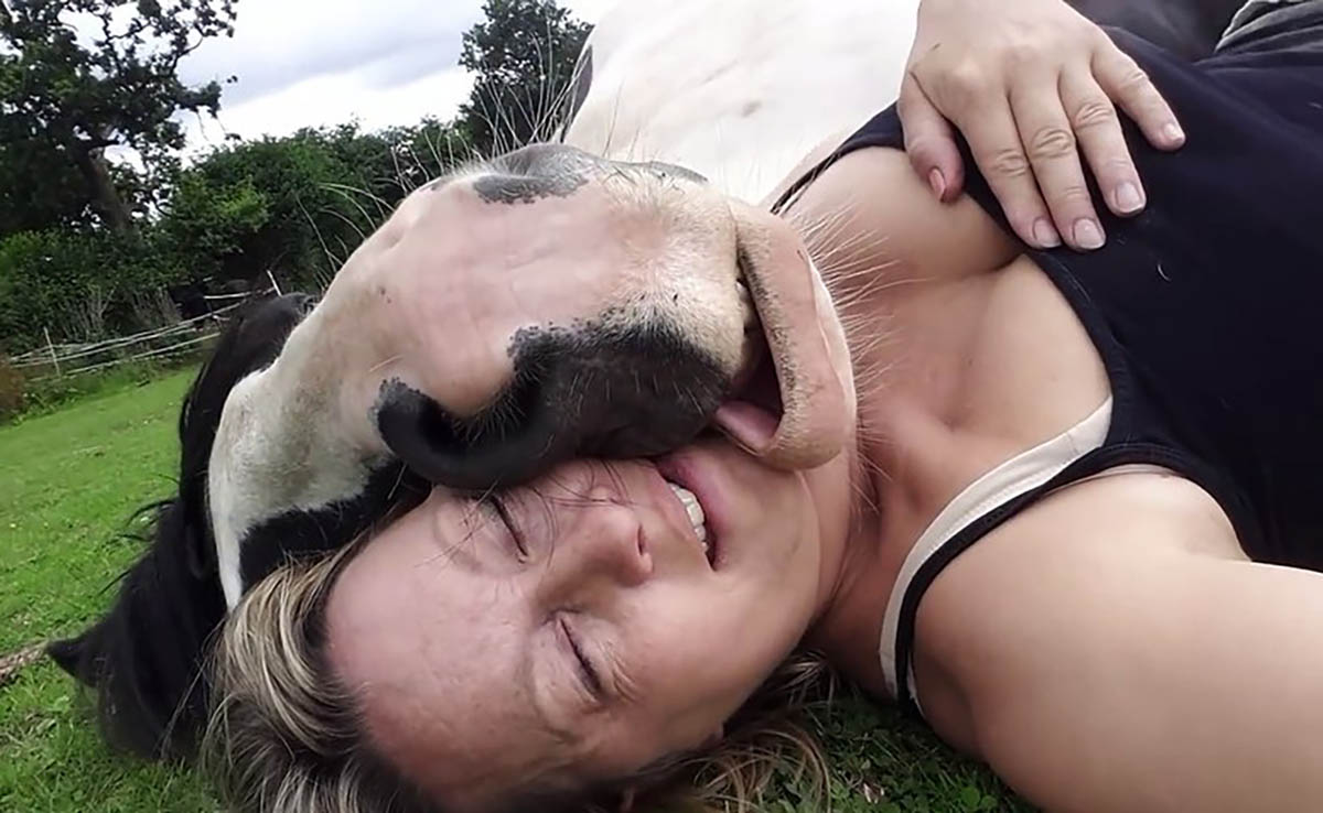 Horse Leaning On His Owner While Taking A Nap