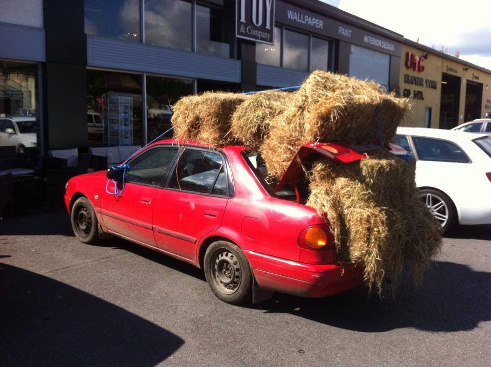 Horse Lovers Car