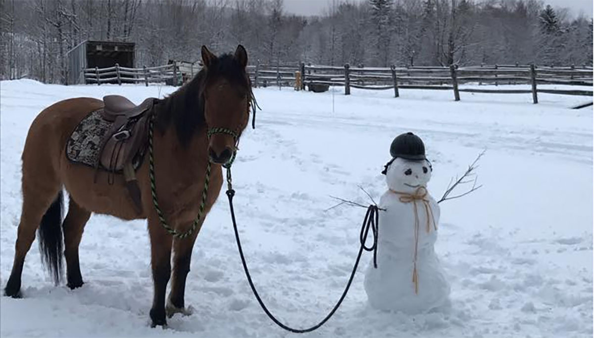 Horse-Snowman